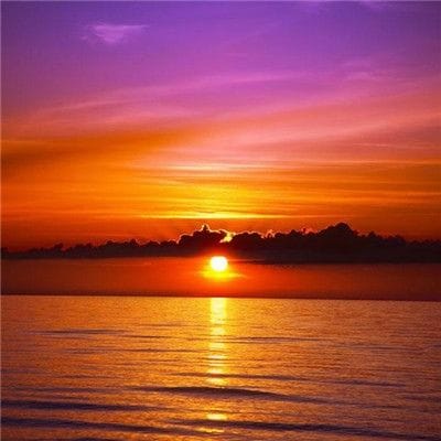 MariaClara_Bets avatar