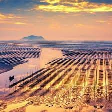 PromoHunterPH avatar